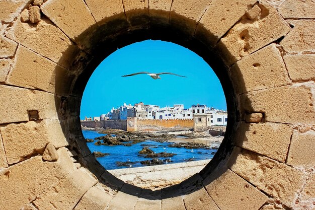 Essaouira from Marrakech: The Complete Coastal Travel Guide