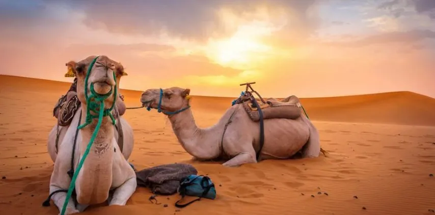 marrakech-day-trips