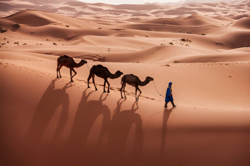 Discover Morocco